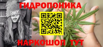 МДПВ Пенза