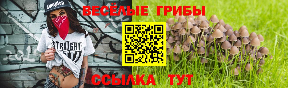 где можно купить   Псилоцибиновые грибы ЛСД  Вход с VPN  Светлоград 